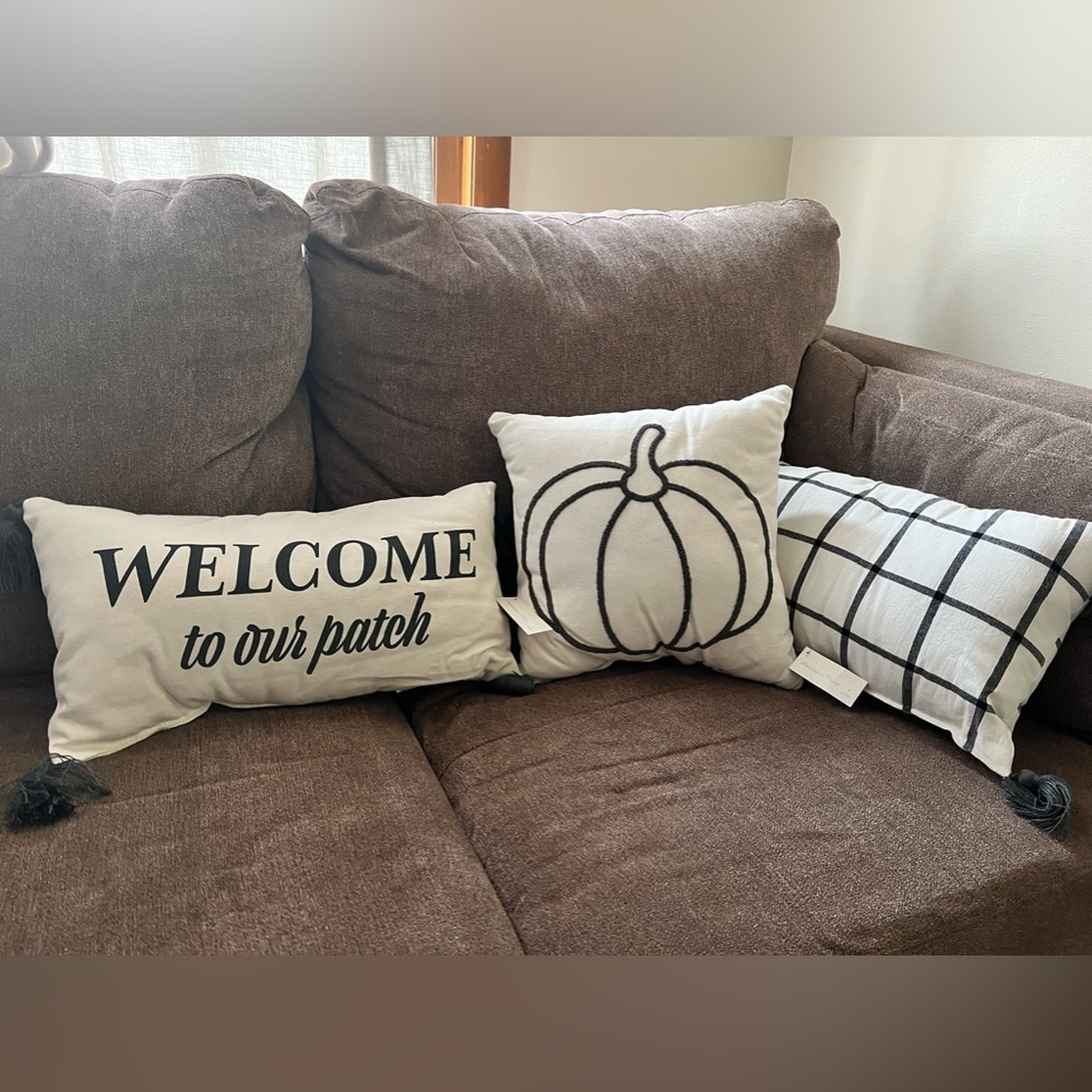 Fall Decorative throw pillows